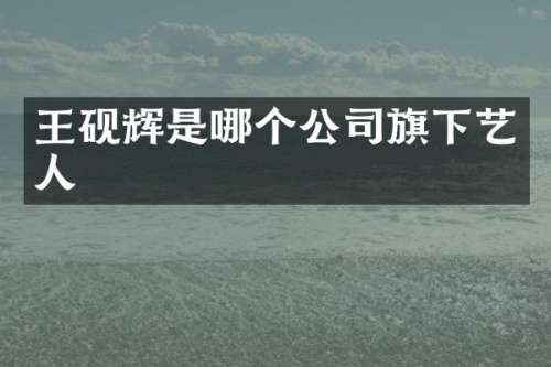 王砚辉是哪个公司旗下艺人