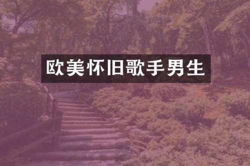 欧美怀旧歌手男生