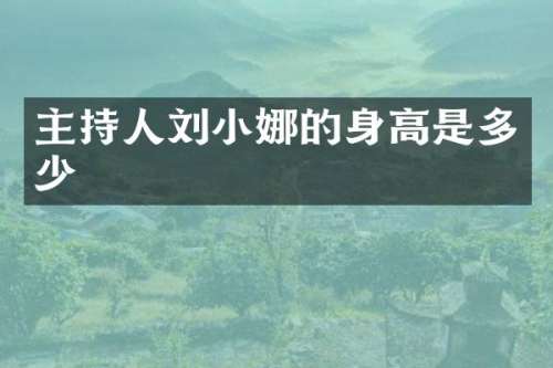 主持人刘小娜的身高是多少