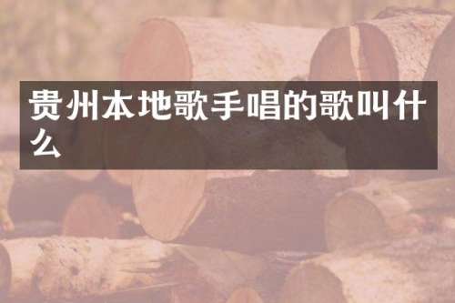 贵州本地歌手唱的歌叫什么