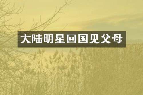 大陆明星回国见父母