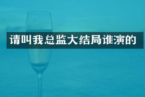 请叫我总监大结局谁演的