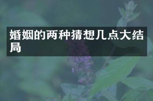 婚姻的两种猜想几点大结局