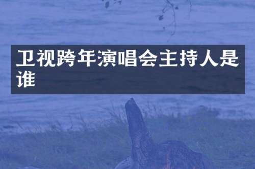 卫视跨年演唱会主持人是谁
