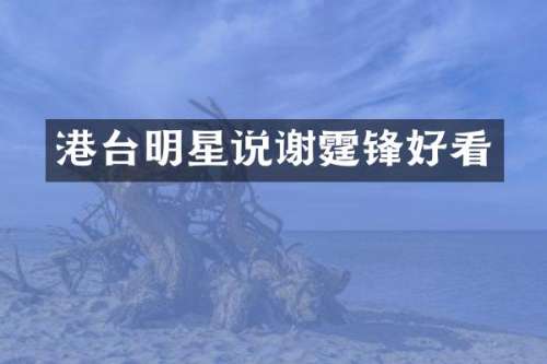 港台明星说谢霆锋好看