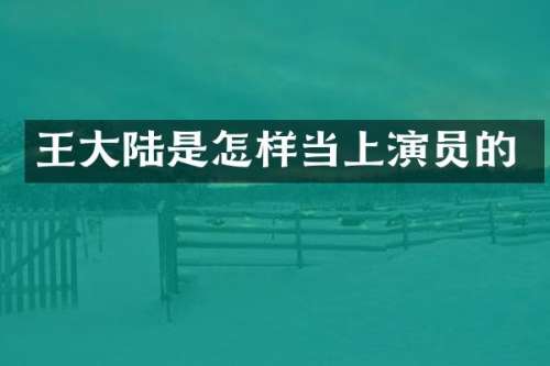 王大陆是怎样当上演员的
