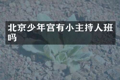 北京少年宫有小主持人班吗