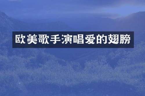 欧美歌手演唱爱的翅膀