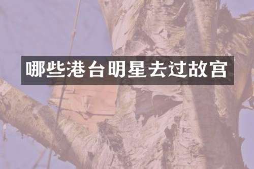 哪些港台明星去过故宫