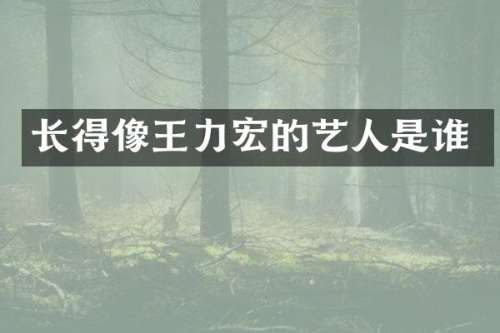 长得像王力宏的艺人是谁