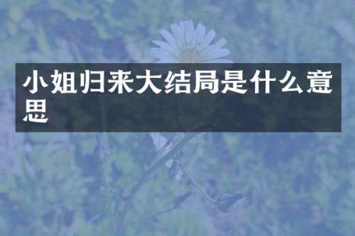 归来大结局是什么意思