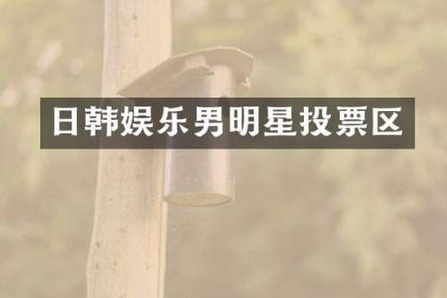 日韩娱乐男明星投票区