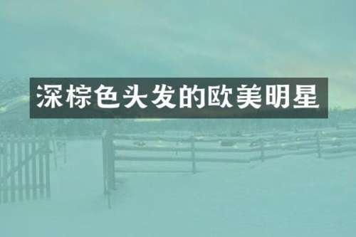 深棕色头发的欧美明星