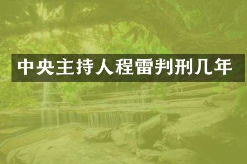 中央主持人程雷判刑几年