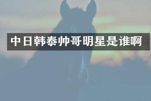 中日韩泰帅哥明星是谁啊