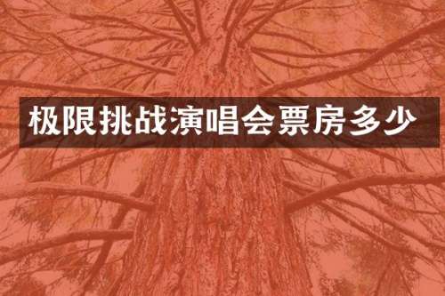 极限挑战演唱会票房多少