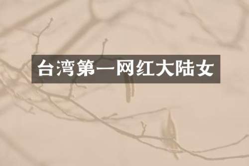台湾第一网红大陆女