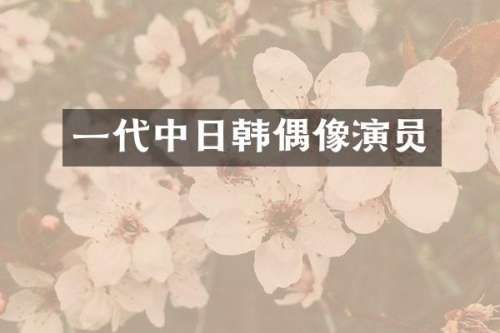 一代中日韩偶像演员