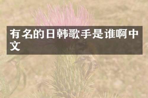 有名的日韩歌手是谁啊中文