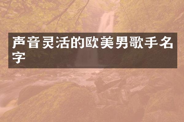声音灵活的欧美男歌手名字