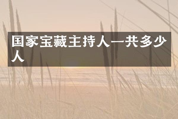 国家宝藏主持人一共多少人