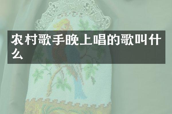 农村歌手晚上唱的歌叫什么