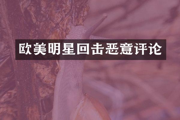 欧美明星回击恶意评论
