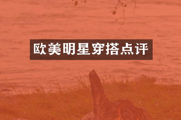 欧美明星穿搭点评