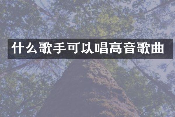 什么歌手可以唱高音歌曲