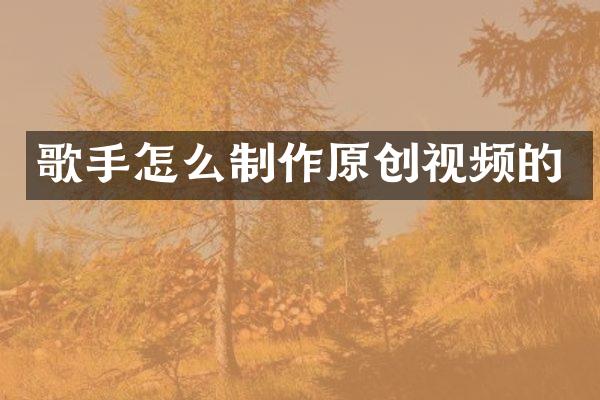 歌手怎么制作原创视频的