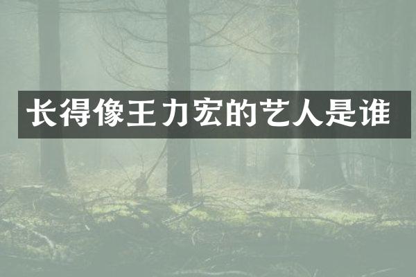 长得像王力宏的艺人是谁