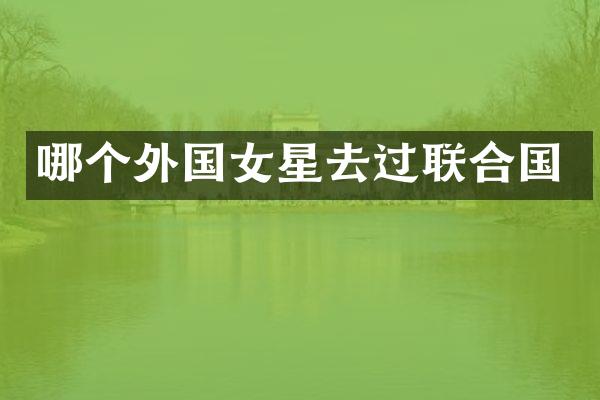 哪个外国女星去过联合国
