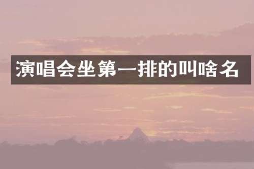演唱会坐第一排的叫啥名
