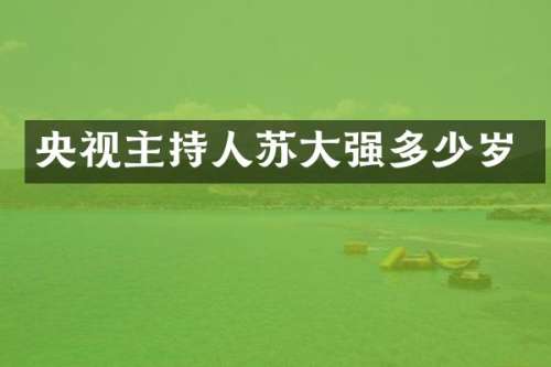 央视主持人苏大强