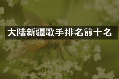 大陆新疆歌手排名前十名