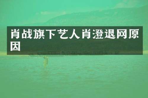 肖战旗下艺人肖澄退网原因