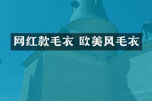 网红款毛衣 欧美风毛衣