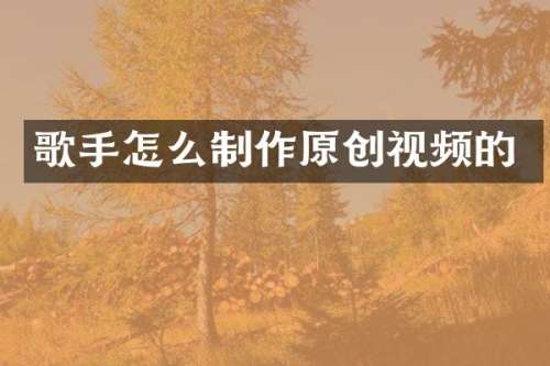 歌手怎么制作原创视频的