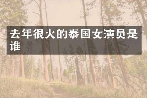 去年很火的泰国女演员是谁