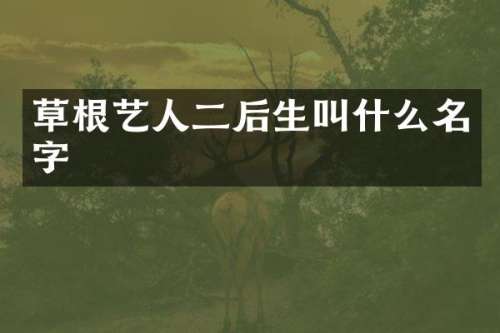草根艺人二后生叫什么名字