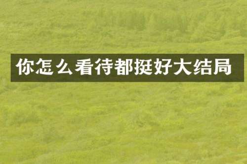 你怎么看待都挺好大结局