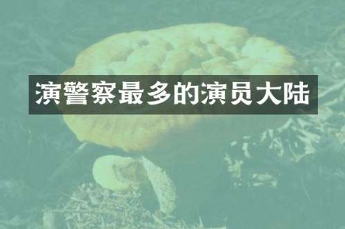 演警察最多的演员大陆