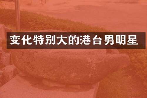 变化特别大的港台男明星