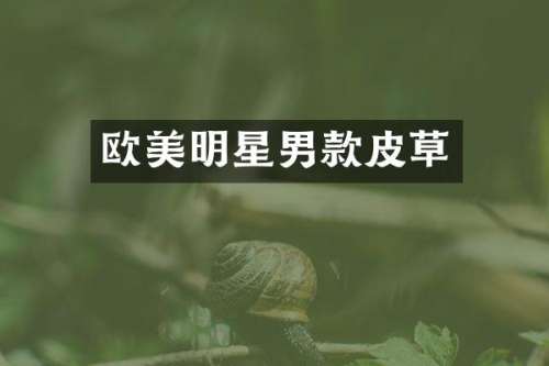 欧美明星男款皮草