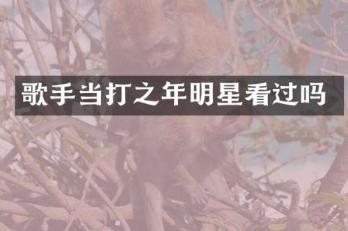 歌手当打之年明星看过吗