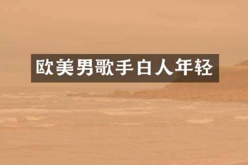 欧美男歌手白人年轻