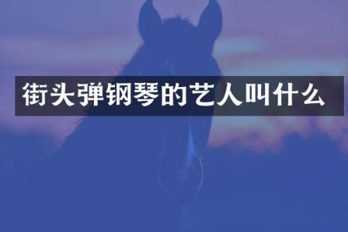 街头弹钢琴的艺人叫什么