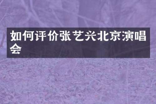 如何评价张艺兴北京演唱会