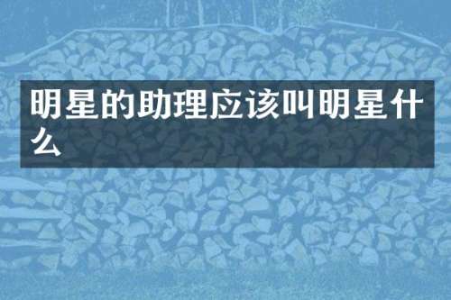 明星的助理应该叫明星什么