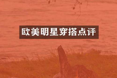 欧美明星穿搭点评